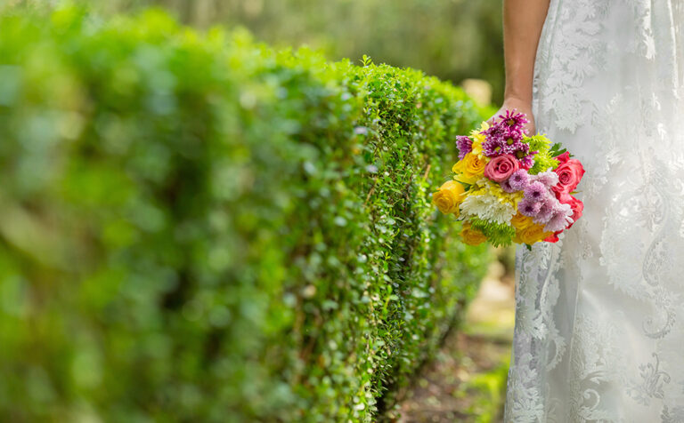 Bride walking in Magnolia Plantations and Gardens in Charleston, South Carolina