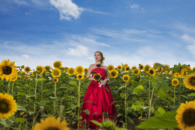 bride in red dress in a sunflower field
